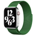 Uray store Apple Watch 38mm Metal Mıknatıslı Kordon - Yeşil